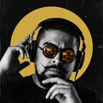 vinyreisvale profile picture