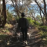 vipaemm profile picture