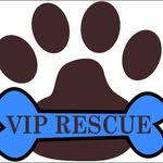 viprescue profile picture