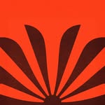 viradadasfalesias profile picture