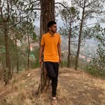 virendra_choudhary.21 profile picture
