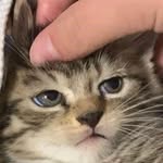 virgile.fm profile picture
