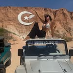 virginiastaricco profile picture