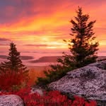 virginiastate_photos profile picture