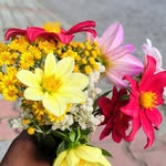 vishal_sharma5125 profile picture