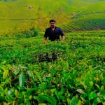 vishnuprasad_c_boss profile picture