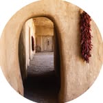visittaos profile picture