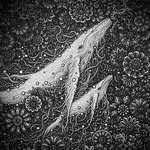 visothkakvei profile picture