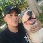 vitoradestra profile picture