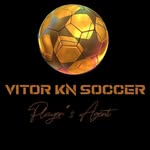 vitorknsoccer profile picture