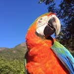 vittorio_e_rossi profile picture