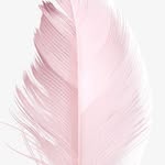 vivalabeautyinyou profile picture