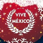 vive_mexico profile picture