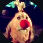 viviigzz profile picture