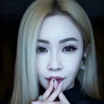 vizelais profile picture