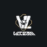 vlteamid profile picture