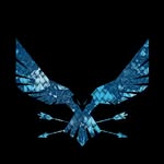 vog.global profile picture
