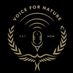 voicefornature.co profile picture