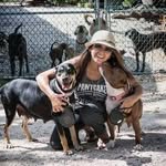 voicelessdogsofnassaubahamas profile picture