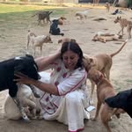 voiceless_voicefoundation profile picture