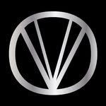 voicestraw profile picture