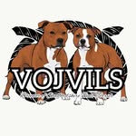 vojvils profile picture