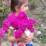 voleyboll_hayattirr profile picture