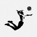 volleyball.ball.1 profile picture