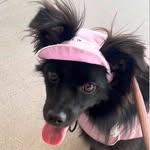 voltawow profile picture