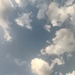 vp_lov_.past profile picture