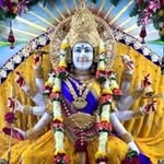vrajmeghani17 profile picture