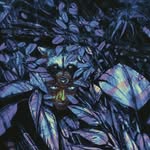 vrdelrey profile picture
