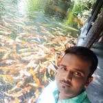 vs22oct profile picture