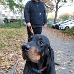 vschlie profile picture