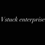 vstuck_collections_llc profile picture