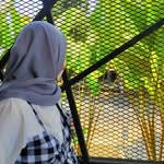 vsyv.ny_ profile picture