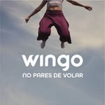 vuelawingo profile picture