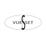 vueset profile picture