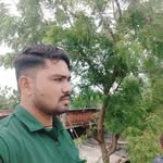 vv1181735 profile picture