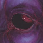 vvormwood____ profile picture
