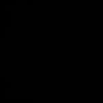 vylit_ profile picture