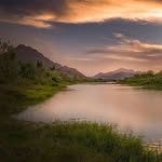 wadiyan.diaries profile picture