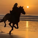 wafae_elayach profile picture