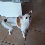 wagener.isabelle profile picture