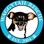 waggytailrescue profile picture