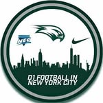 wagner_football profile picture