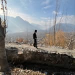 wahajxmehdi profile picture