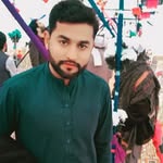 wajidsahib8 profile picture