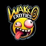 wakkoexotics profile picture