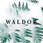 waldorleatherco profile picture